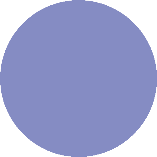 #3232
